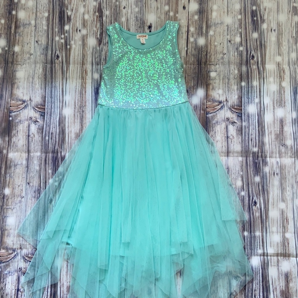 Girls special occasion dress